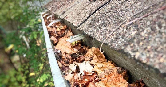 Gutter clogged with leaves