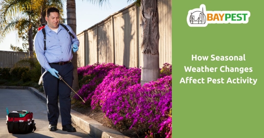 Pest control technician beside text banner saying 'How Seasonal Weather Changes Affect Pest Activity'