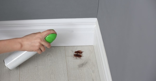 cockroach spray