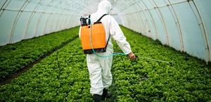 Commercial Pest Control