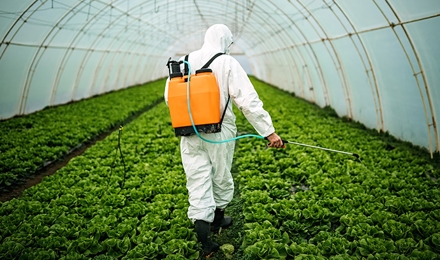 Commercial Pest Control