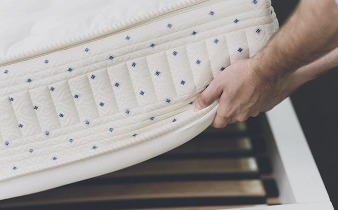 bed bugs under a bed